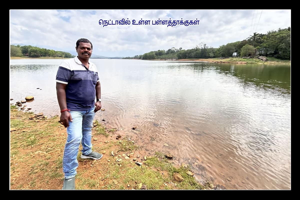 Best Couples Resorts in Paramakudi